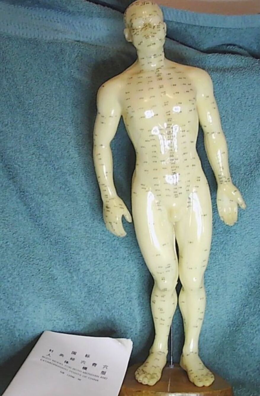Vintage Chinese Acupuncture Model ~Nude male sculpture~ Science Biology 20" tall